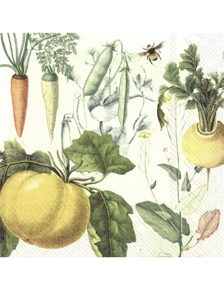 CULINARIX HERBS CULINARIX HERBS