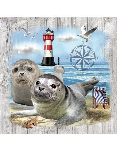 SEAL COUPLE