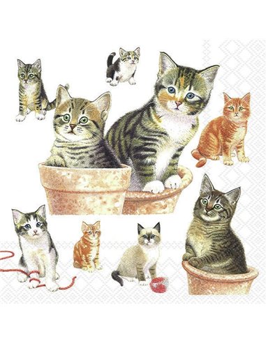 Servilletas Decoupage Cute Kittens