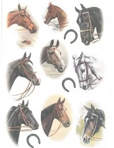 PAPEL CABALLOS